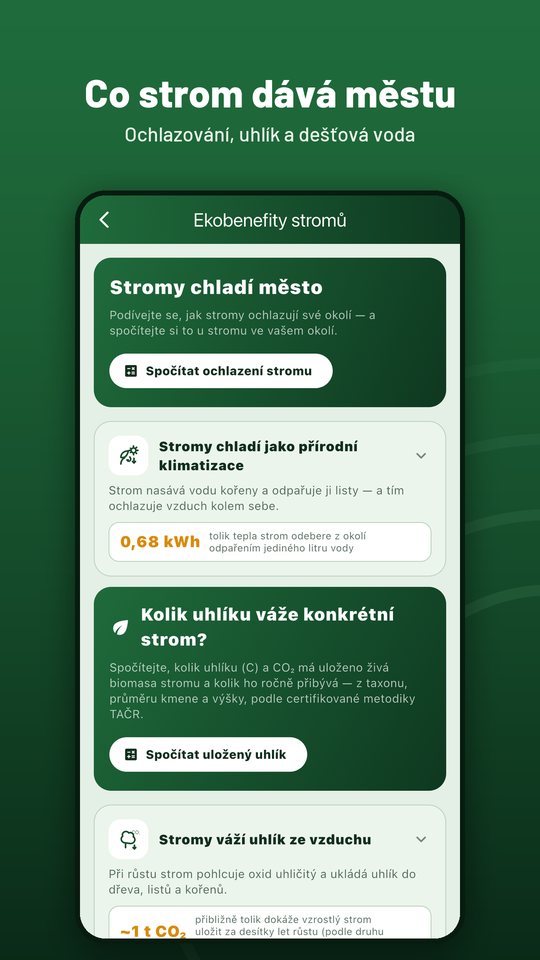 Co strom dává městu
